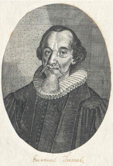 Immanuel Tremellius, engraved portrait (probably 16th century). Austrian National Library portrait collection (portraitindex.de), via Wikimedia Commons